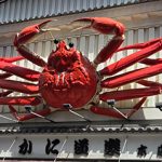 Private Japanese Lessons on line lessons osaka Japanese tutor